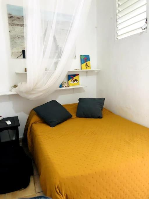 Habitation Santos 6 Personnes Terre De Haut Les Saintes Eksteriør billede
