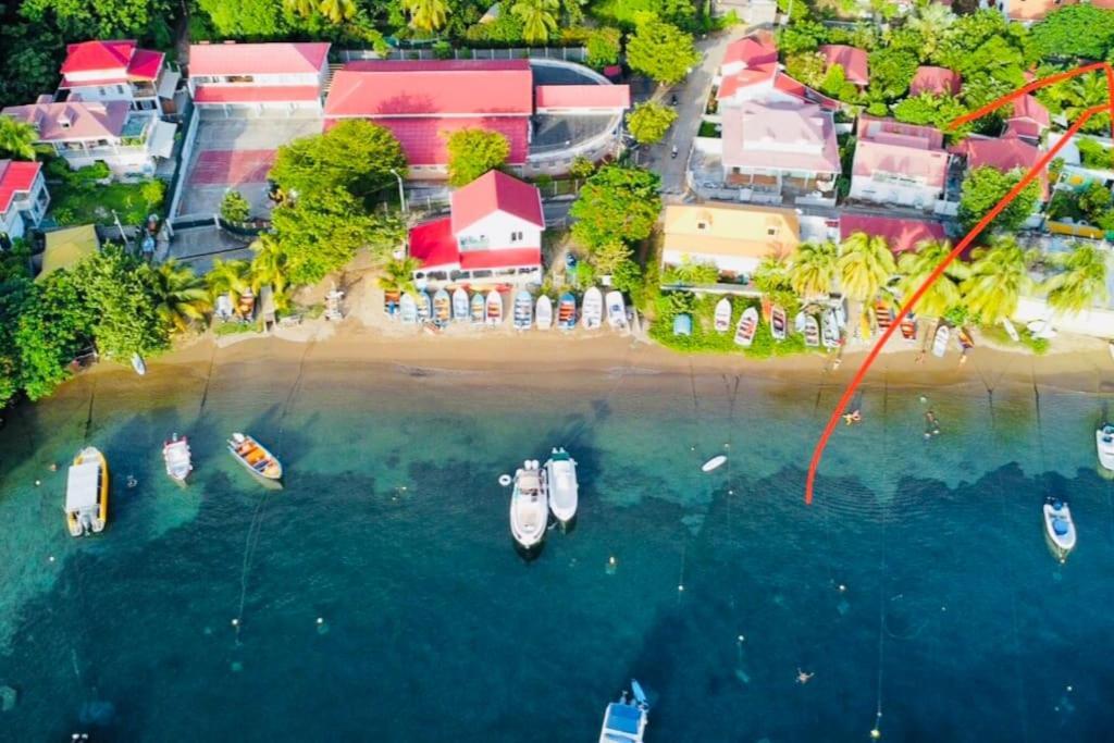 Habitation Santos 6 Personnes Terre De Haut Les Saintes Eksteriør billede
