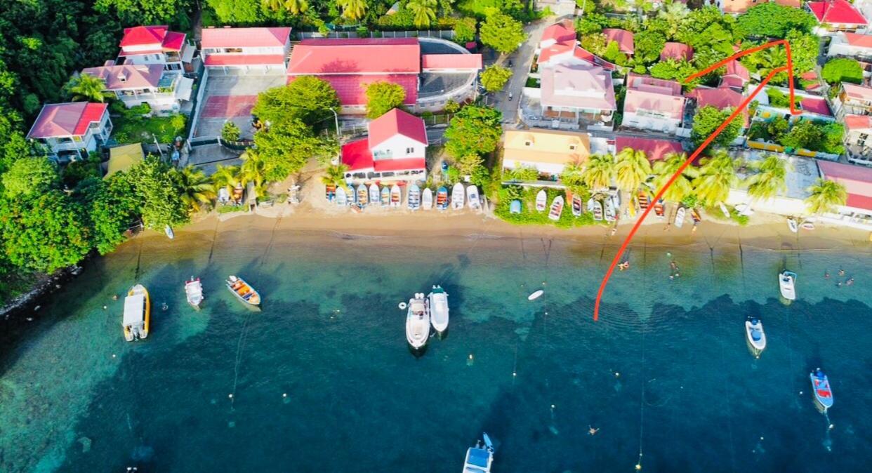 Habitation Santos 6 Personnes Terre De Haut Les Saintes Eksteriør billede